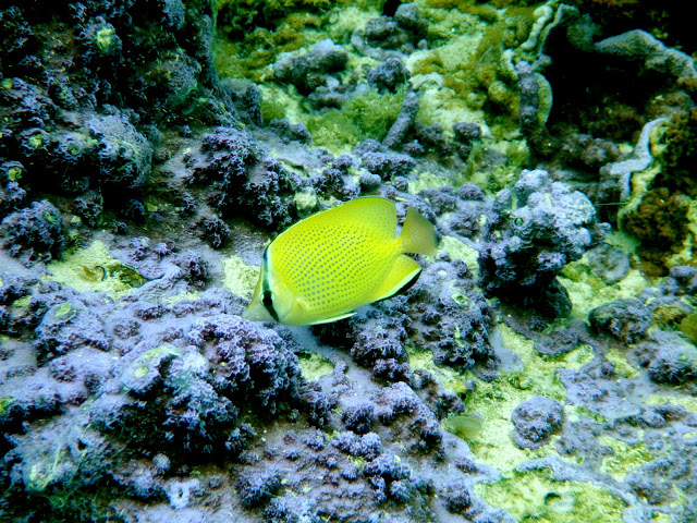 P1000322.JPG