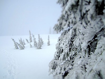 IMG_4970.JPG