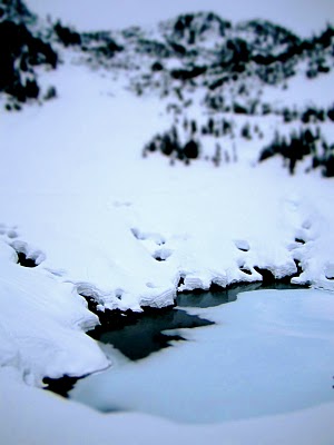 IMG_4948.JPG