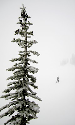IMG_4961.JPG
