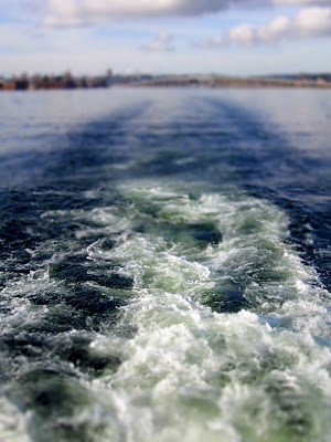 IMG_5065.JPG