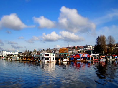 IMG_5020.JPG