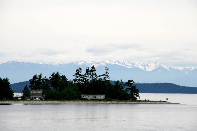 IMG_1405.JPG