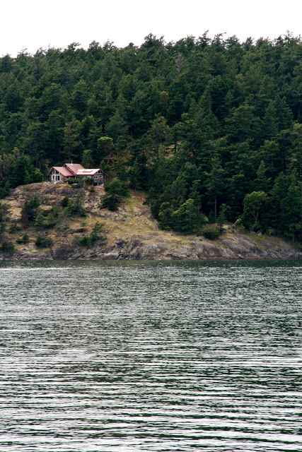 IMG_1365.JPG
