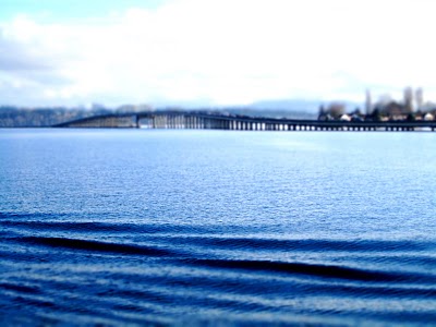 IMG_5047.JPG