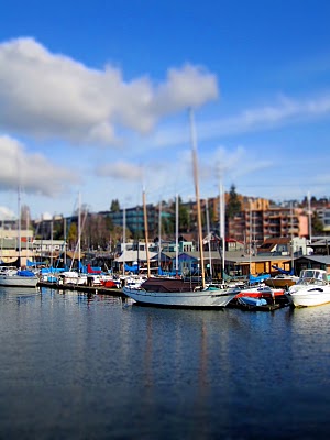 IMG_5031.JPG