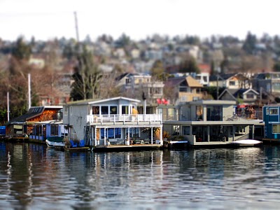 IMG_5026.JPG