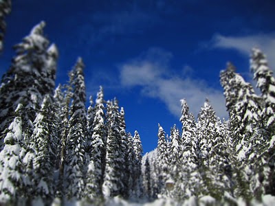 IMG_3921.JPG