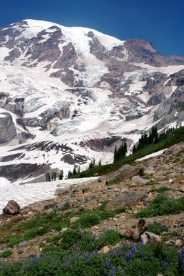 IMG_6644.jpg