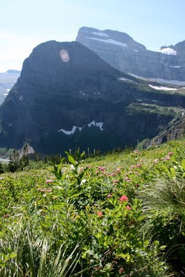 IMG_6255_2_2.JPG