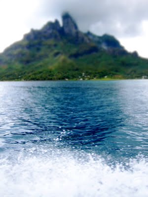 IMG_7721.JPG