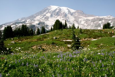 IMG_6769.JPG