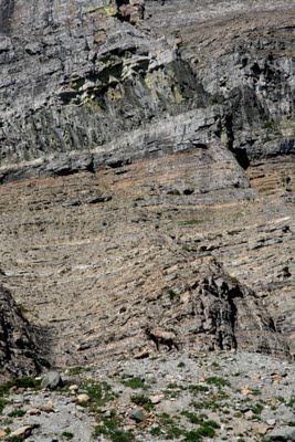 IMG_6308_2.JPG