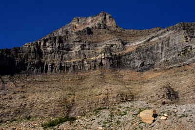 IMG_6302.jpg