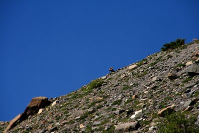 IMG_6295_2.jpg
