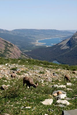IMG_6330_3.JPG