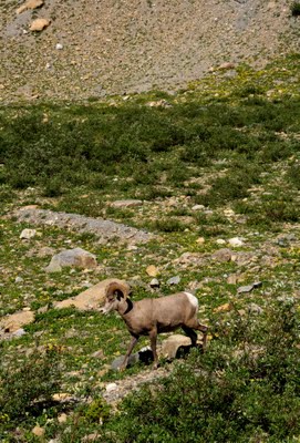 IMG_6335_2.jpg