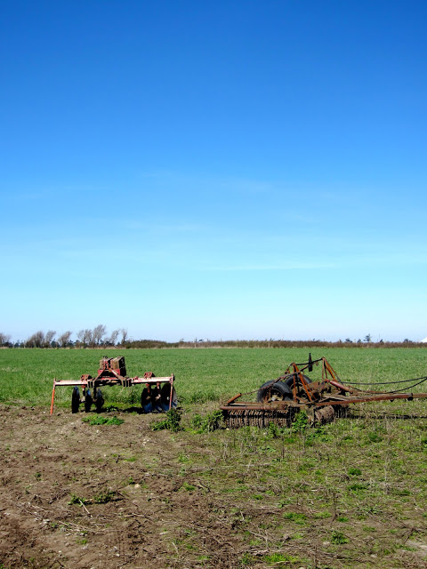 IMG_7631.JPG