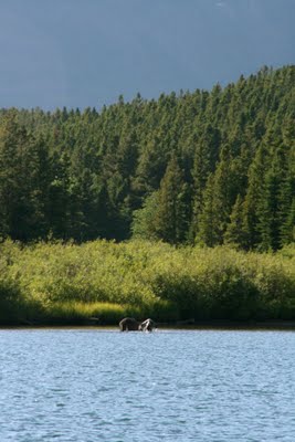 IMG_6444_3.JPG