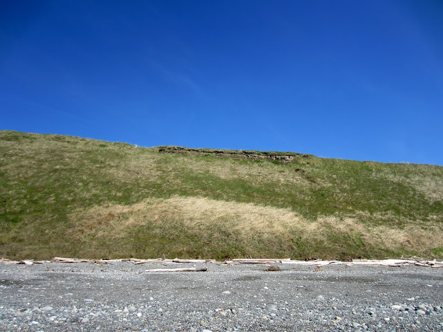 IMG_7626.JPG