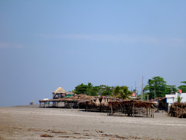 P1010491.JPG
