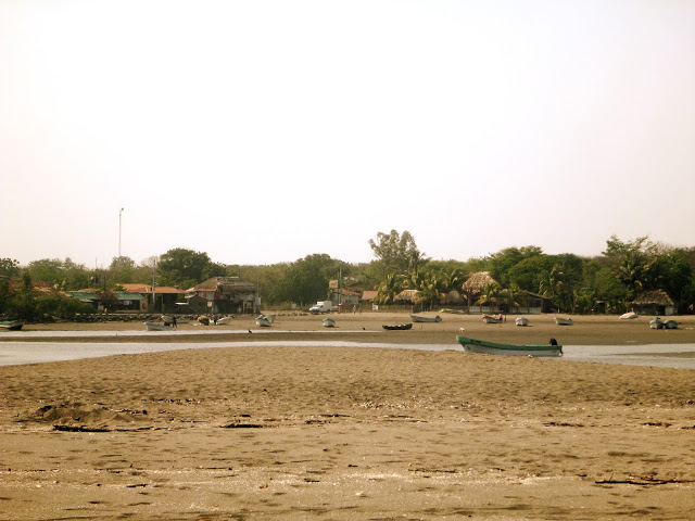 P1010563.JPG