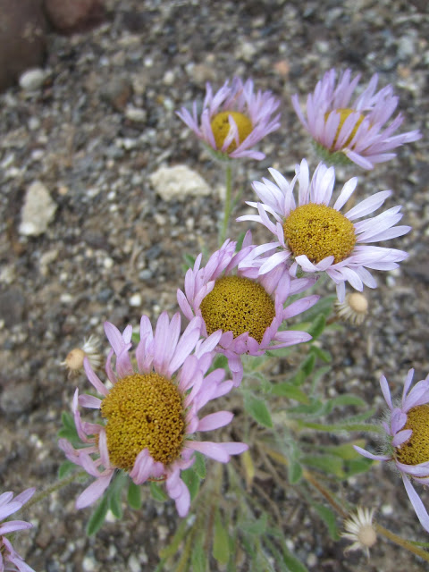 IMG_8404.JPG
