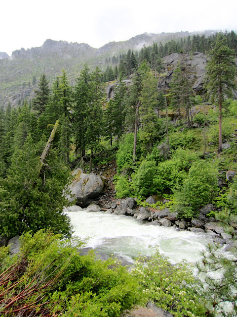 IMG_8288.JPG