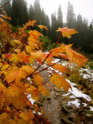 IMG_3322.JPG