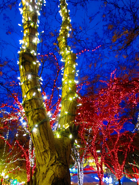 IMG_5237.JPG