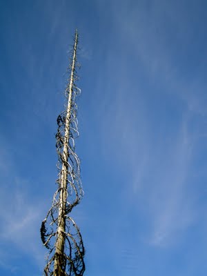 IMG_0895.JPG