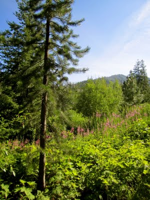 IMG_0867.JPG