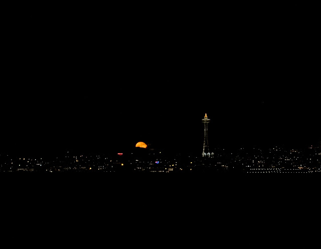 P1010348.JPG