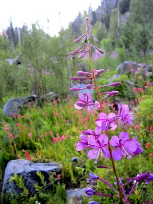 IMG_0961.JPG