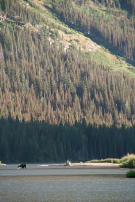 IMG_6475_2.JPG