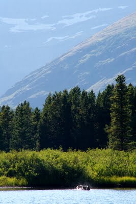 IMG_6450_2.jpg