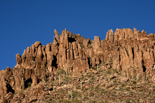 IMG_8864.JPG