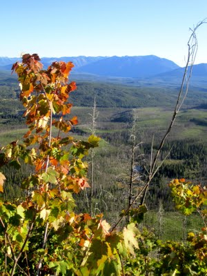 IMG_1860.JPG