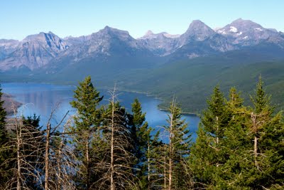 IMG_6010.jpg
