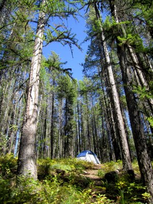 IMG_1800.JPG