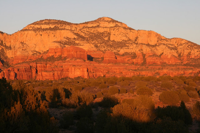 IMG_8731.JPG