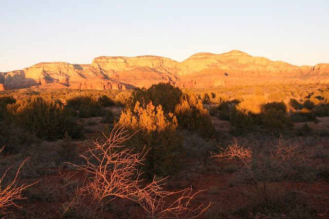 IMG_8724.JPG