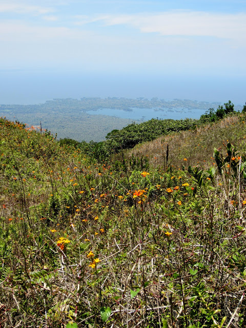 IMG_9475.JPG