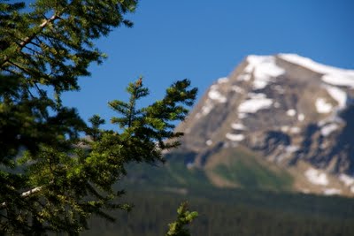 IMG_6165.jpg