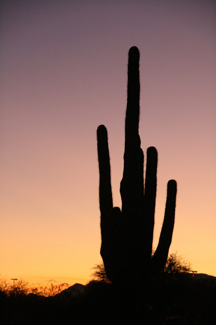 IMG_8763.JPG
