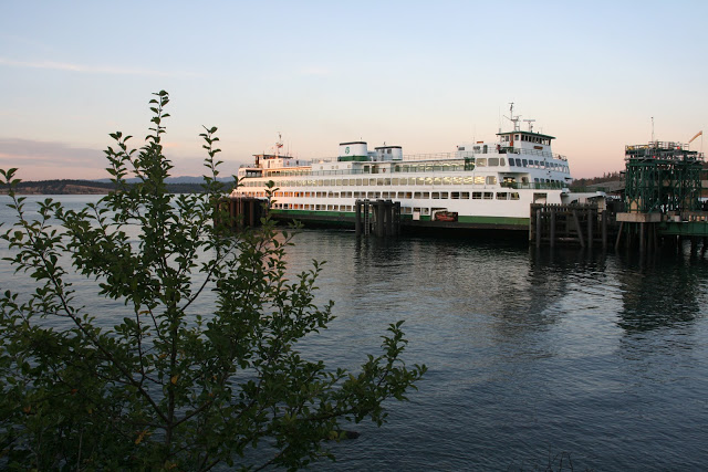 IMG_3145.JPG