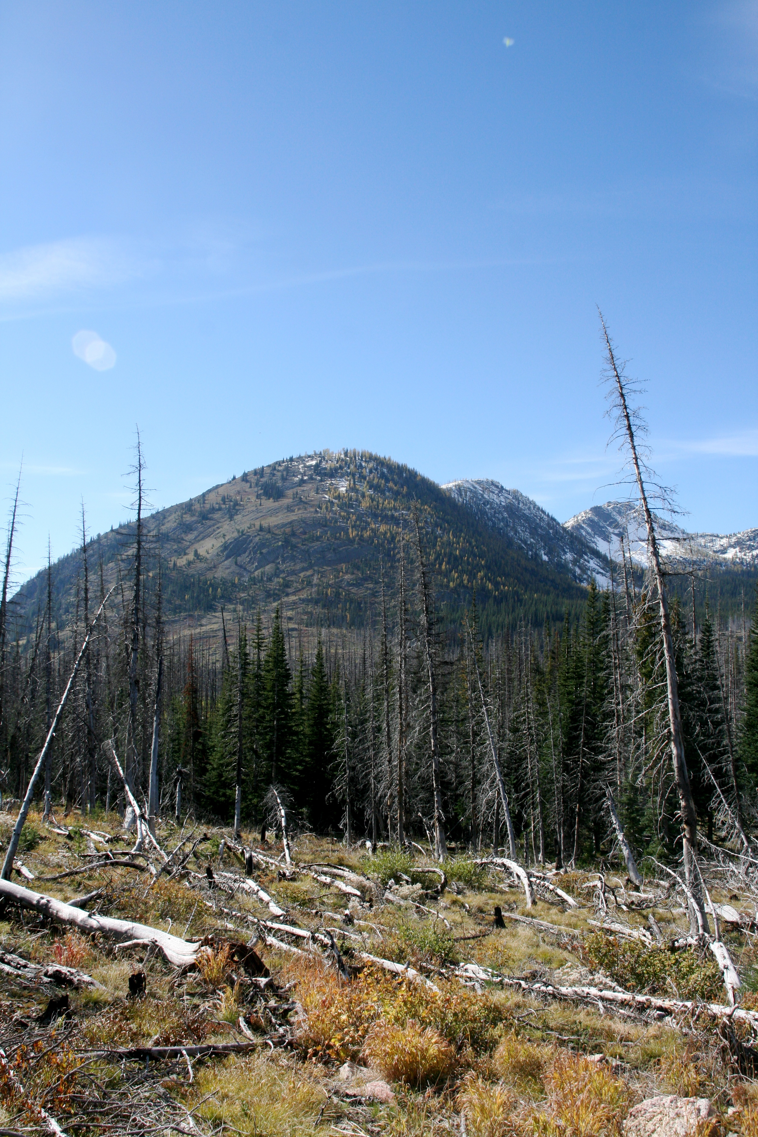 IMG_5995.JPG