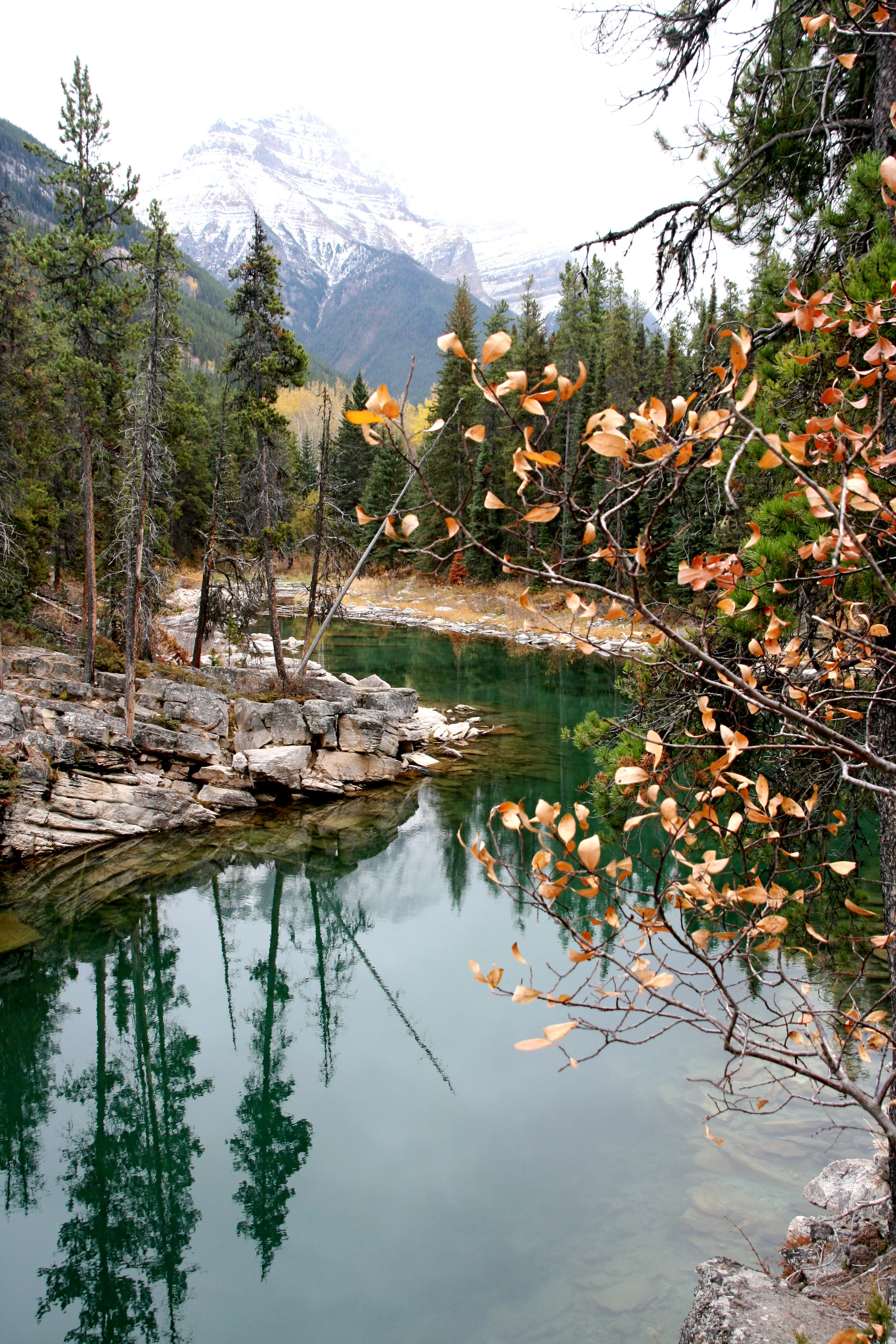 An afternoon at Horseshoe Lake: Jasper National Park