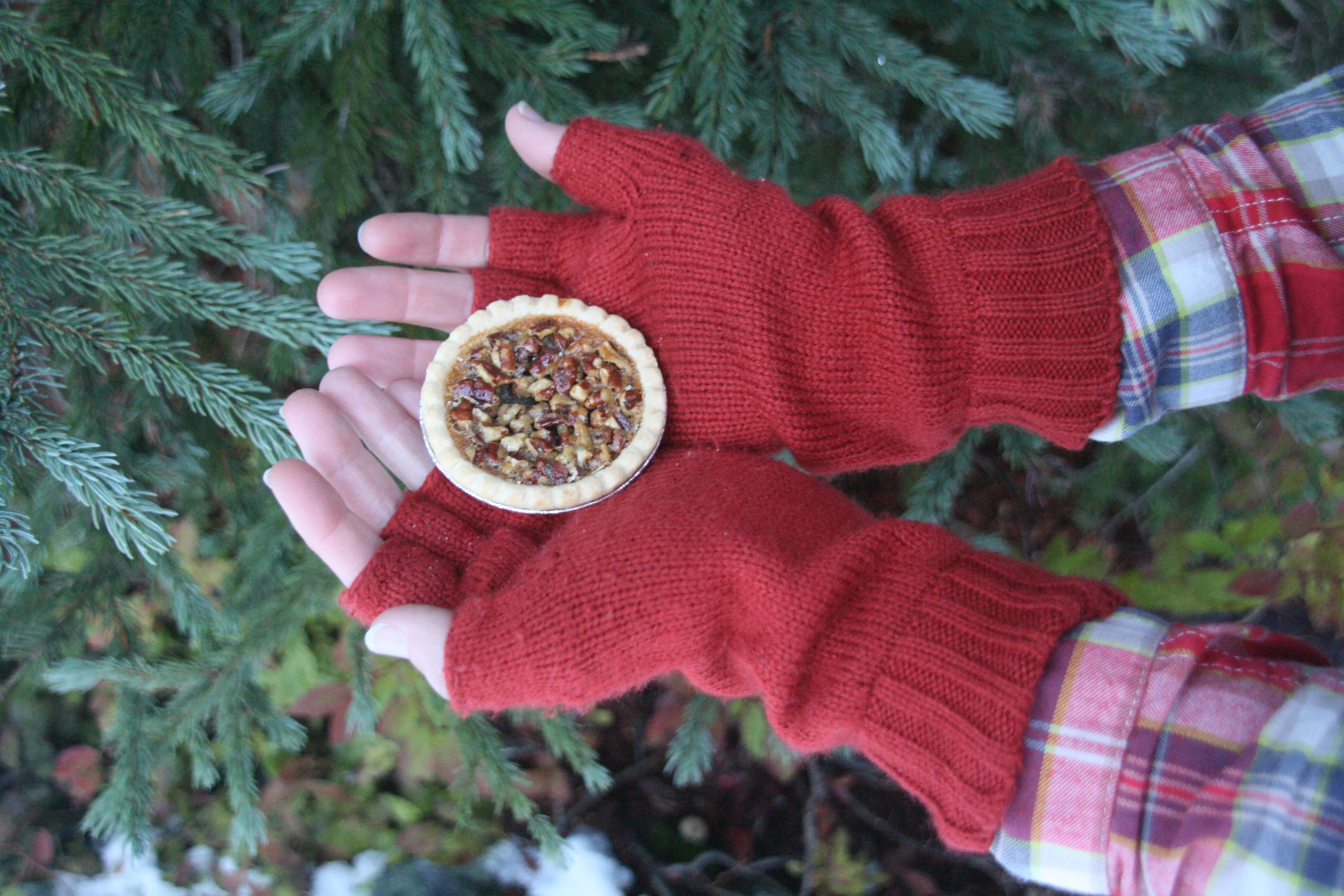 Finding gratitude in the everyday