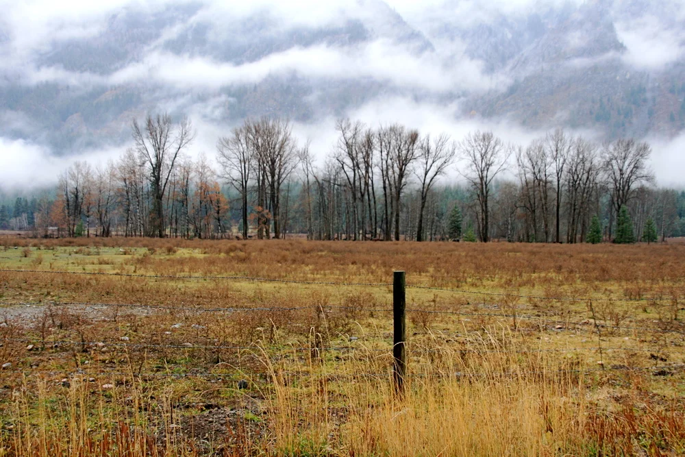 Part Two: A weekend at Rolling Huts